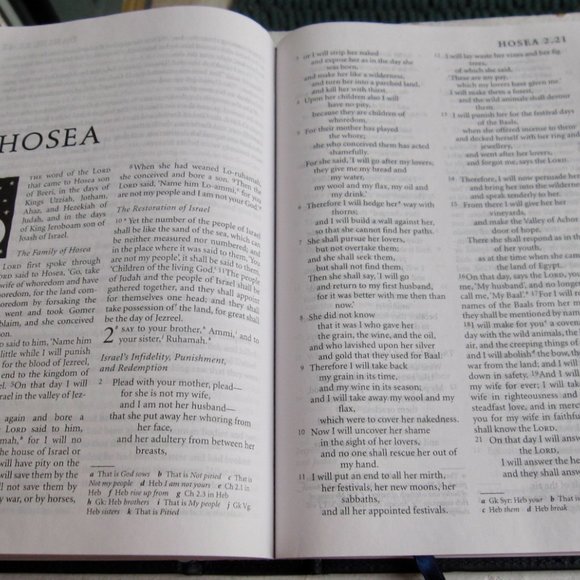 NRSV Holy Bible Catholic Edition Anglicized Text 2007 Harper Leather Touch HC - Picture 9 of 10